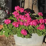 Garni Unterhaslerhof Bed and Breakfast