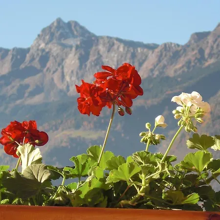 Bed and breakfast Garni Unterhaslerhof Merano