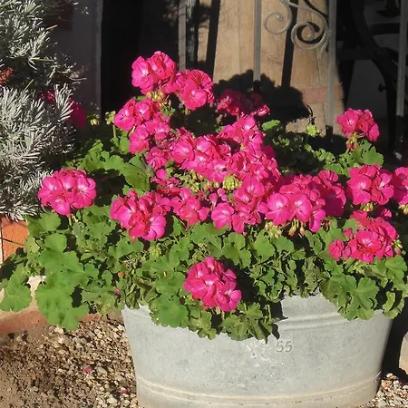 Garni Unterhaslerhof Bed & Breakfast