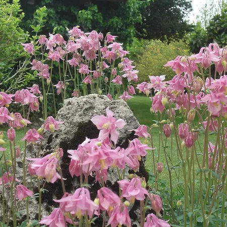 Garni Unterhaslerhof 3* Merano