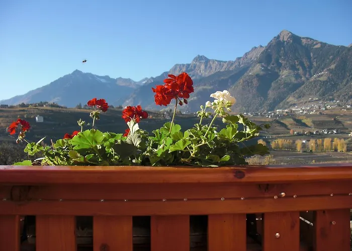 Couette-café Garni Unterhaslerhof 3*