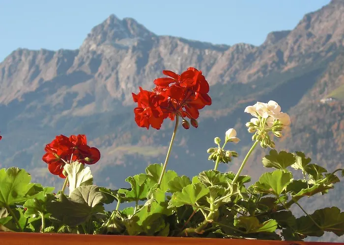 Oda ve Kahvaltı Garni Unterhaslerhof Merano