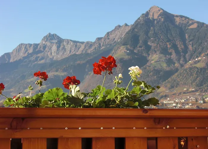 Garni Unterhaslerhof Merano