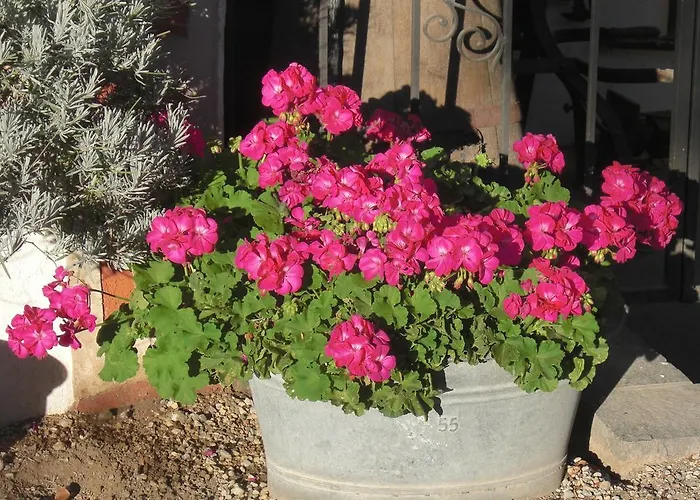 Garni Unterhaslerhof Bed & Breakfast